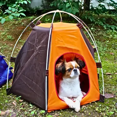 Foldable-Dog-Tent-House-2-2.webp