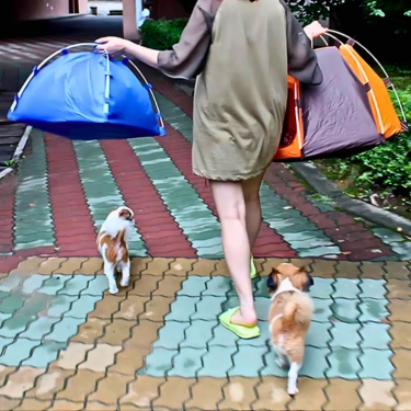 Foldable-Dog-Tent-House-6-2.webp