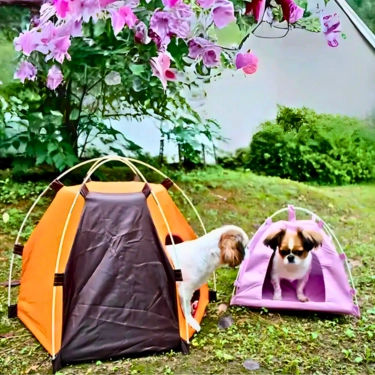 Foldable-Dog-Tent-House-7-2.webp