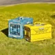 Foldable-Travel-Pet-Carrier-1.webp