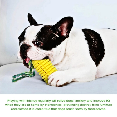 Heavy-Duty-Interactive-Toys-for-Dogs-5.webp