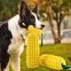Heavy-Duty-Interactive-Toys-for-Dogs-6.webp