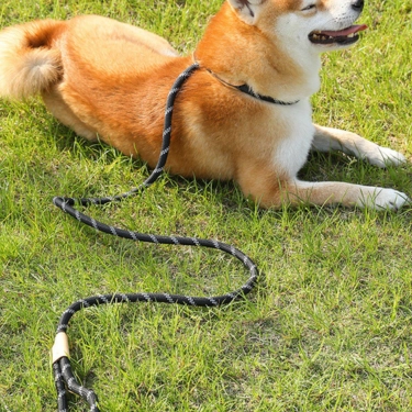 Heavy-Duty-Rope-Leash-for-Medium-Large-Dogs-27.webp