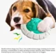 Interactive-Ball-Squeaking-Dog-Toy-10.webp