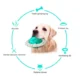 Interactive-Ball-Squeaking-Dog-Toy-12.webp