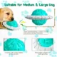 Interactive-Ball-Squeaking-Dog-Toy-15.webp