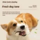 Interactive-Dog-Chewing-Bones-Toys-7.webp