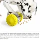 Interactive-Dog-Food-Dispenser-Puzzle-Toys-5-2.webp