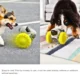 Interactive-Dog-Food-Dispenser-Puzzle-Toys-9.webp