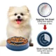 Interactive Puzzle Design Pet Food Bowl (18)
