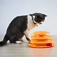 Interactive-Puzzle-Plastic-Tower-Cat-Toy-5-2.webp