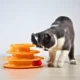 Interactive-Puzzle-Plastic-Tower-Cat-Toy-7-2.webp