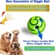 Interactive-Rubber-Ball-Dog-Toy-12.webp