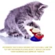 Interactive-Windmill-Cat-Toy-with-Suction-Cup-21.webp