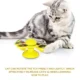 Interactive Windmill Cat Toy with Suction Cup (7)