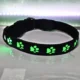 LED-Pet-Light-Collar-USB-Charging-17.webp