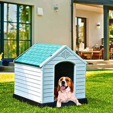 Large-Dog-House-Indoor-And-Outdoor-2.webp