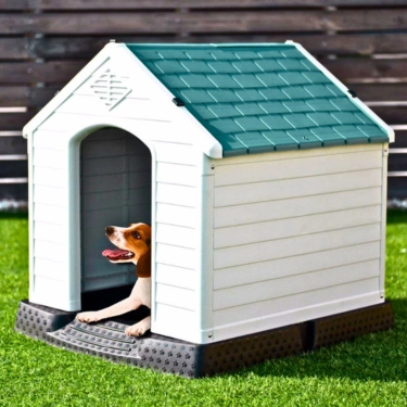 Large-Dog-House-Indoor-And-Outdoor-3.webp