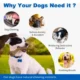 Lightweight-Chew-Toy-for-Dog-5.webp