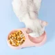 Lightweight-Double-Bowl-Design-For-Cat-11.webp