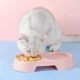 Lightweight-Double-Bowl-Design-For-Cat-12.webp