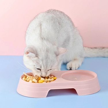 Lightweight-Double-Bowl-Design-For-Cat-12.webp