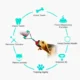 Molar-Bite-Dog-Toy-2-2.webp