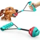 Molar-Bite-Dog-Toy-5-2.webp