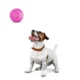Non-Toxic-Pet-Sports-Rubber-Balls-Toy-10.webp