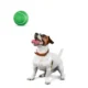 Non-Toxic-Pet-Sports-Rubber-Balls-Toy-2.webp