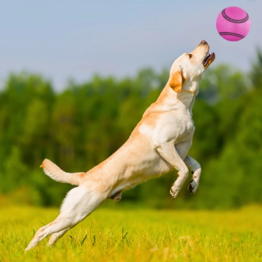 Non-Toxic-Pet-Sports-Rubber-Balls-Toy-24.webp