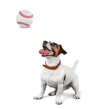 Non-Toxic-Pet-Sports-Rubber-Balls-Toy-4.webp