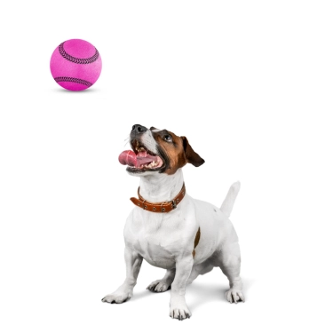 Non-Toxic-Pet-Sports-Rubber-Balls-Toy-9.webp