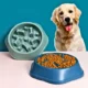 Pet-Anti-Choke-Slow-Food-Bone-Bowl-14.webp