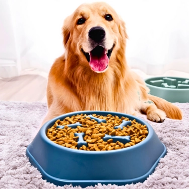 Pet-Anti-Choke-Slow-Food-Bone-Bowl-5.webp