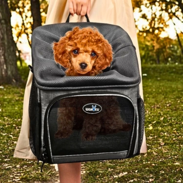 Pet-Carrier-Backpack-Bike-Basket-5-2.webp