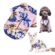 Pet-Clothes-Floral-Kitten-T-shirt-19.webp