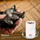 Pet-Daily-Kit-Foot-Washer-–-Keep-Your-Pets-Paws-Clean-2.webp