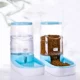 Pet-Feeder-and-Water-Dispenser-1-1.webp
