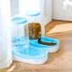 Pet-Feeder-and-Water-Dispenser-2.webp