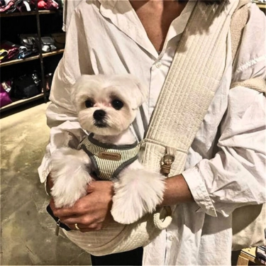 Pet-Kitten-Carrier-Outdoor-Travel-Handbag-5.webp