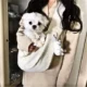 Pet-Kitten-Carrier-Outdoor-Travel-Handbag-8.webp
