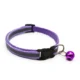 Pet LED Luminous Collar (26)