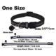 Pet-LED-Luminous-Collar-40.webp