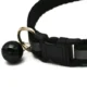 Pet-LED-Luminous-Collar-41.webp