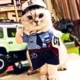Pet-Police-Uniform-Funny-Cloth-2.webp