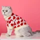 Pets-Knitted-Stylish-Clothes-6.webp