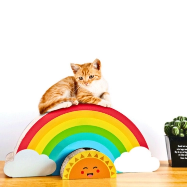 Rainbow-Scratch-Cat-Claw-Plate-3.webp