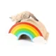 Rainbow-Scratch-Cat-Claw-Plate-7.webp