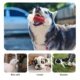 Rubber-Toy-for-Large-Dog-5.webp